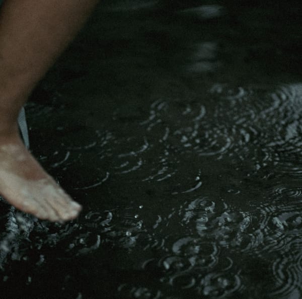 what if i told you...